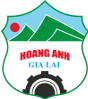 Hoang Anh Gia Lai U19 B 队徽
